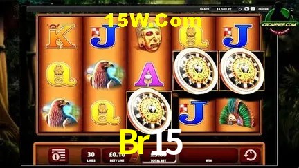 Br15 - Support