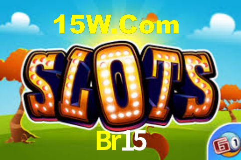 Br15 - App Features