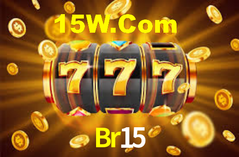 Br15 - App Security