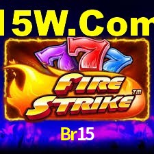 Statistics Br15